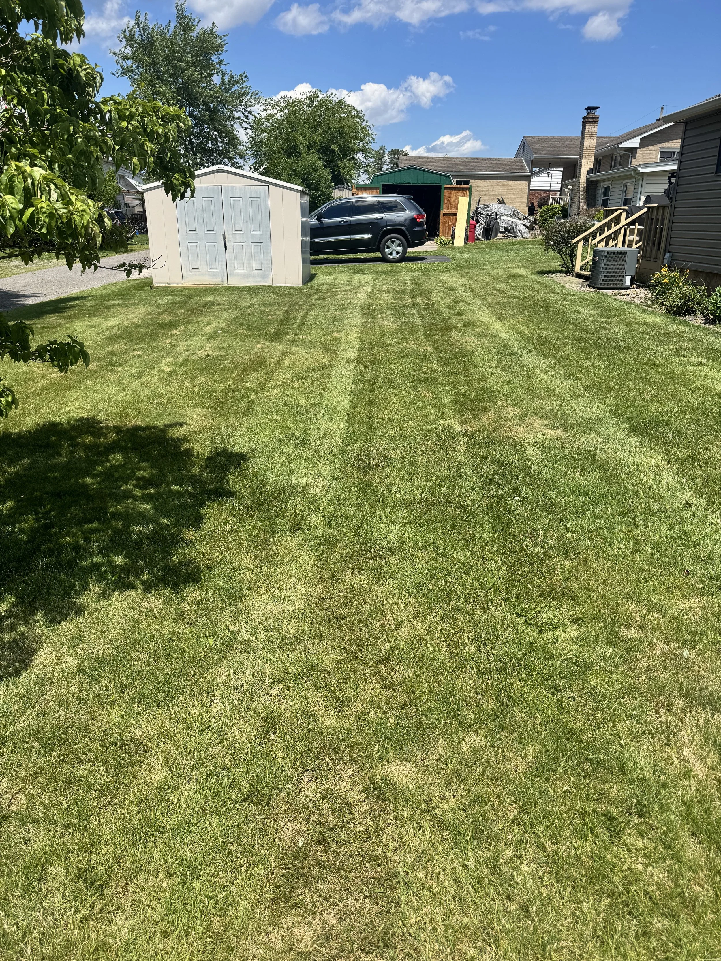 Basic Lawncare