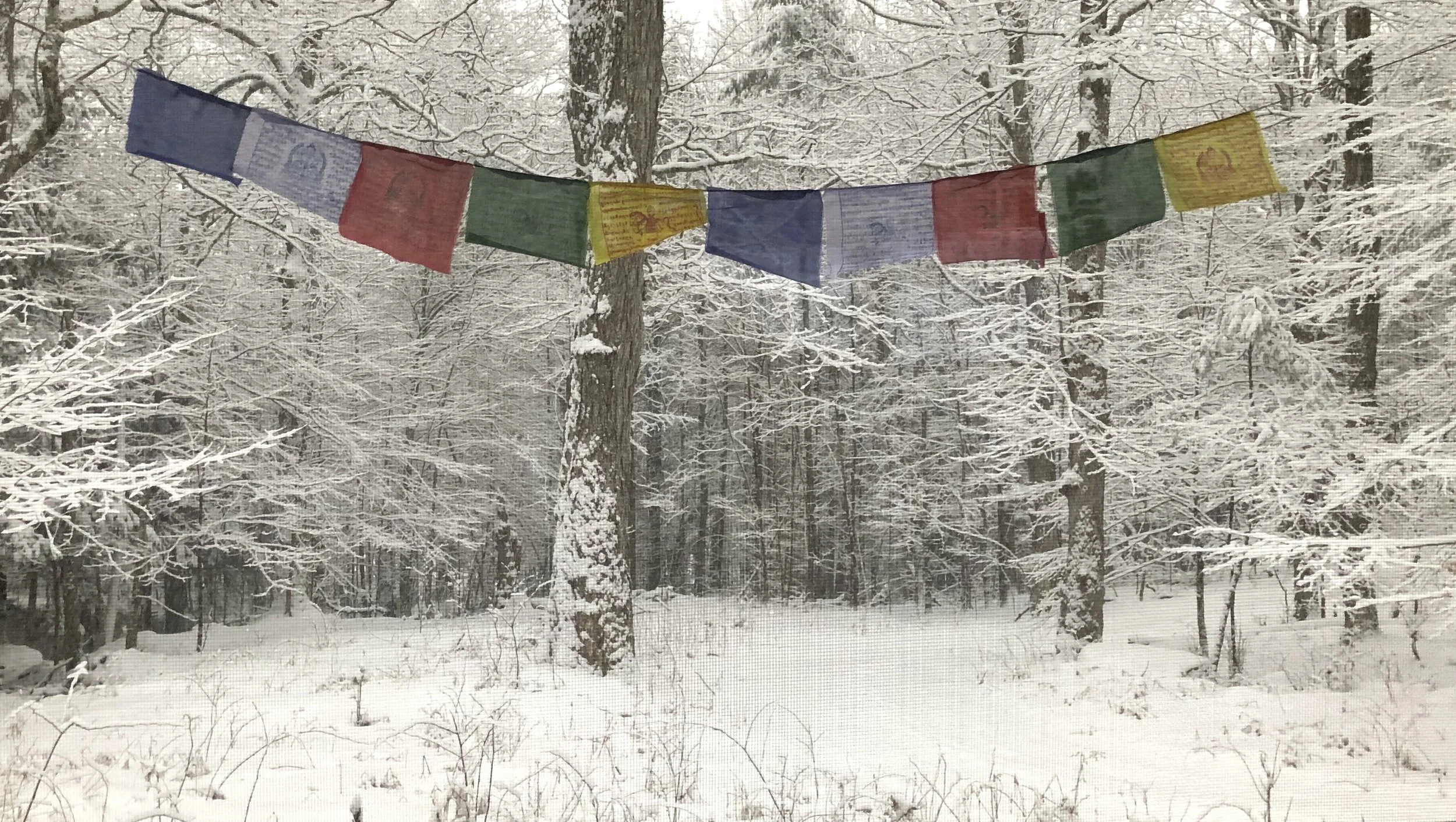 Colorful Tibetan prayer flags strung across a snowy winter forest