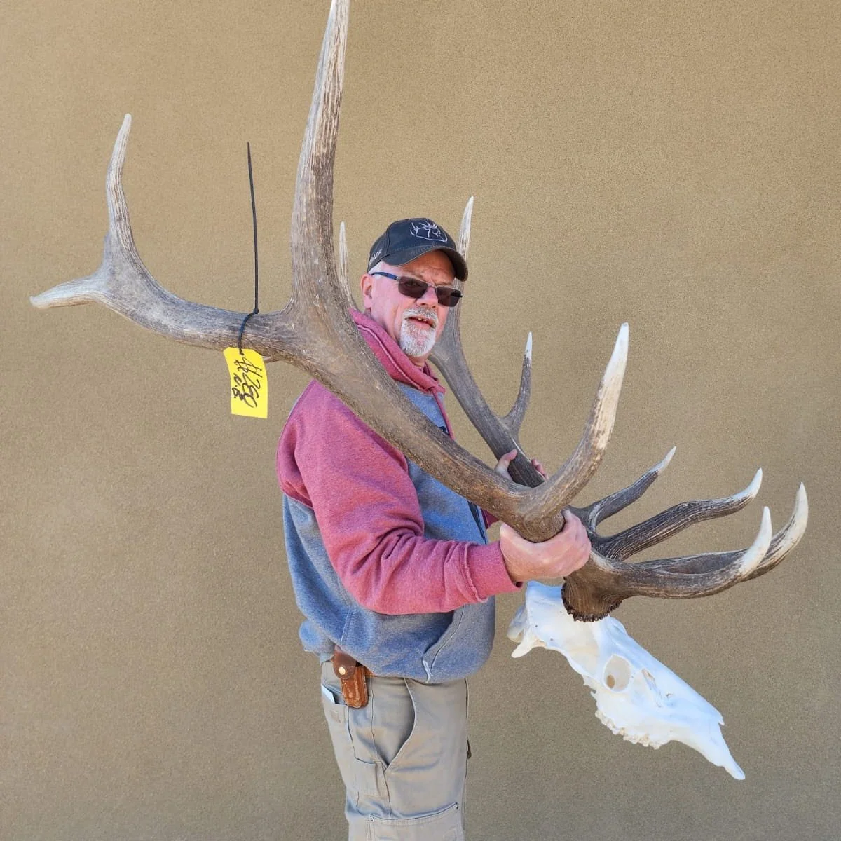 Elk.jpg