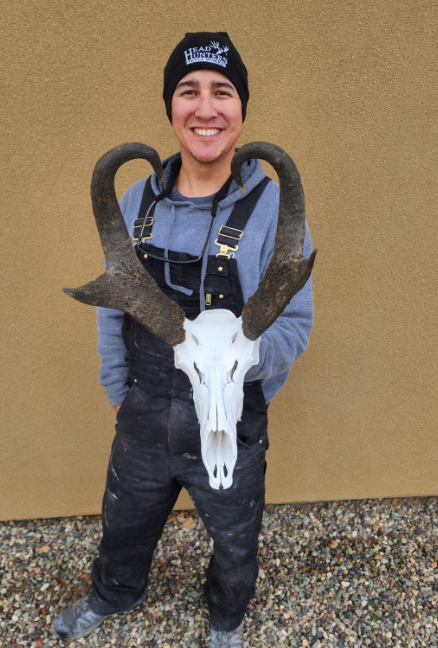 Antelope.png