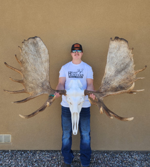moose 1.png