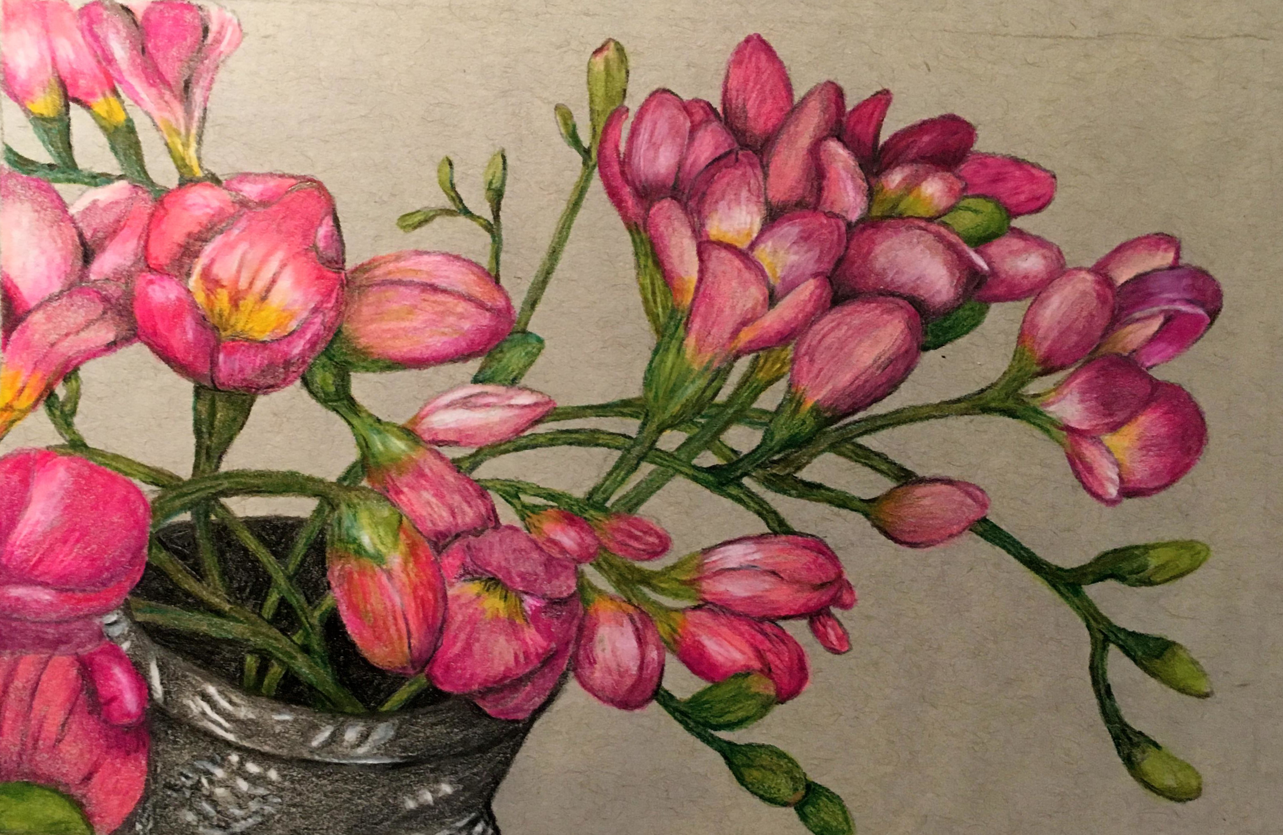 Freesia 5 × 7 inches NFS