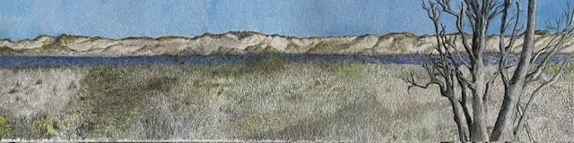 Dunes Wellfleet 5 × 12 inches