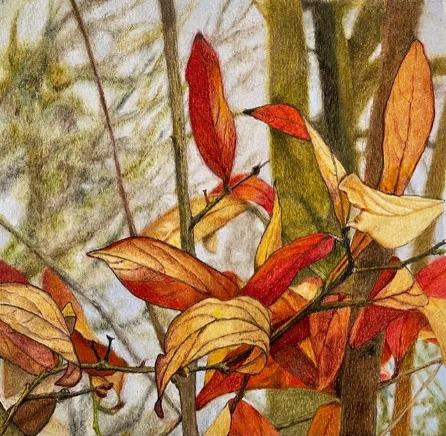 Spicy Leaves   7.5 × 7.5 inches
