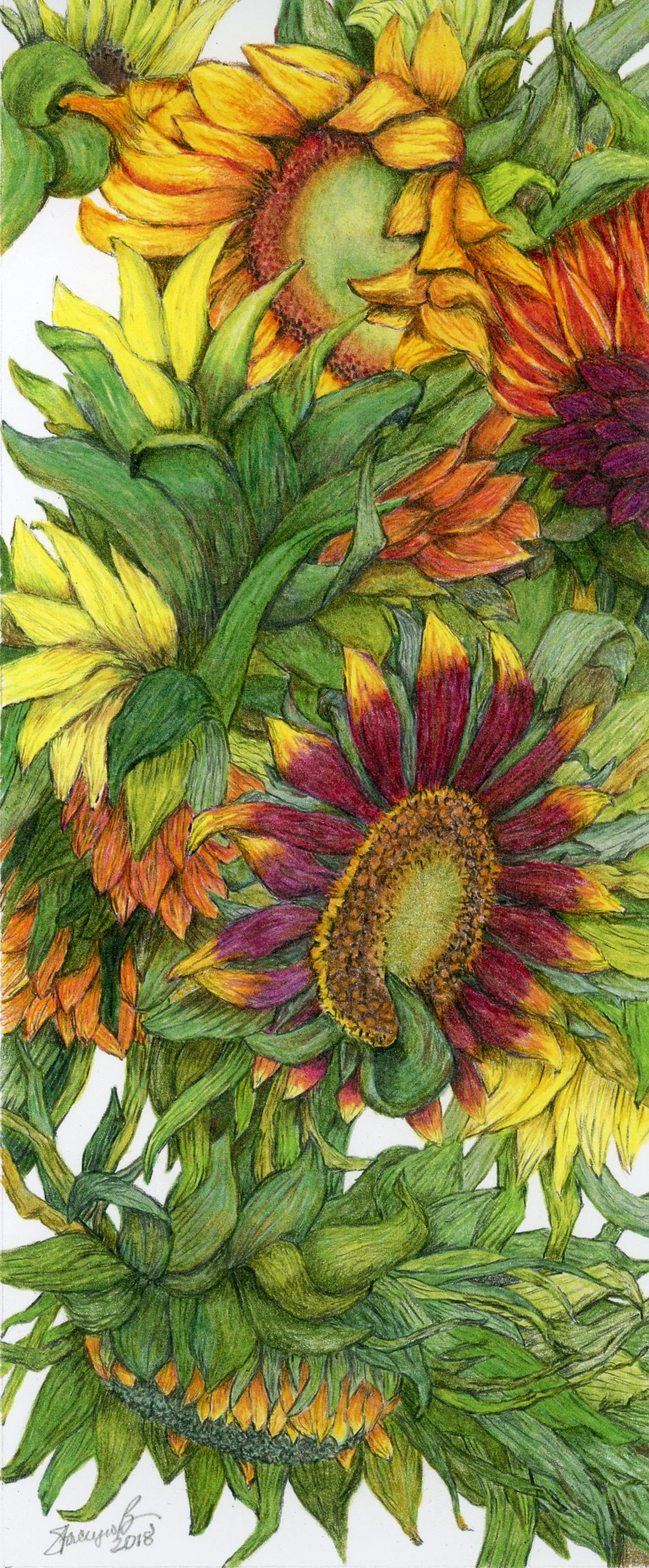 Sunflowers 5 × 12 inches