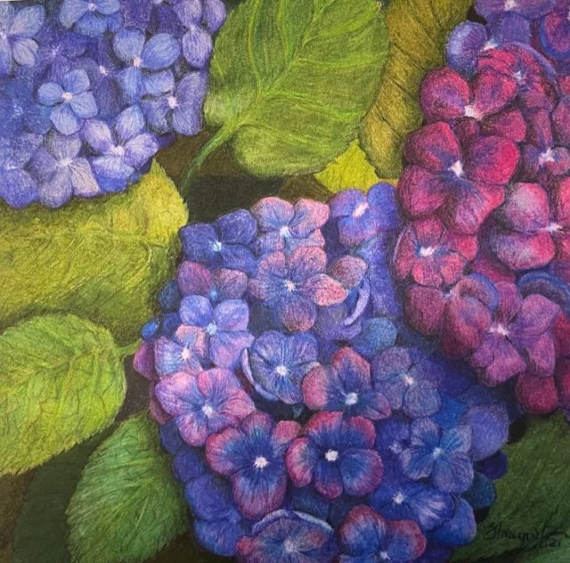 Hydrangea Square  7.5 × 7.5 inches