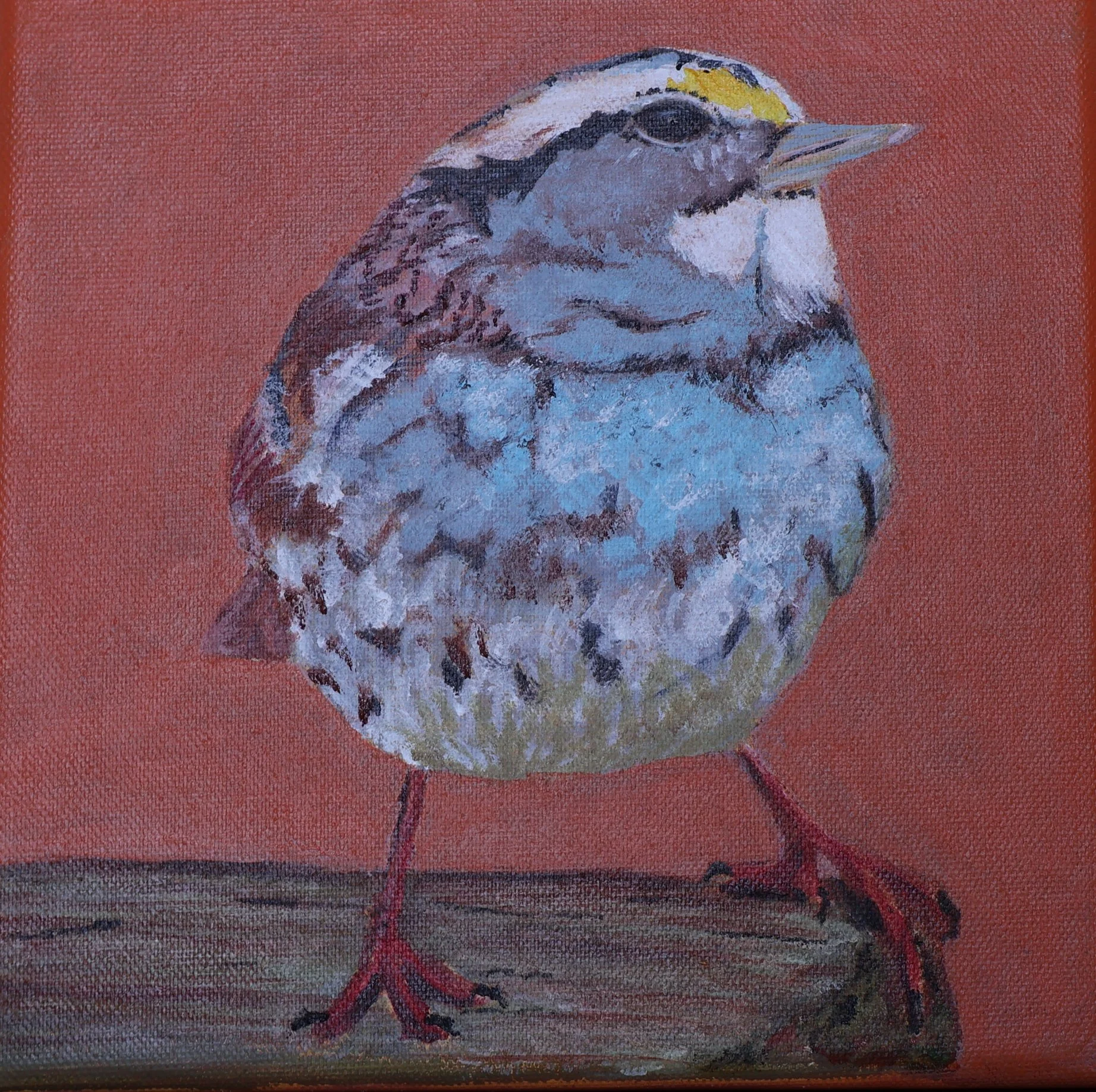 Grounded Quietude - Fine Art Prints (8x8, 10x10)