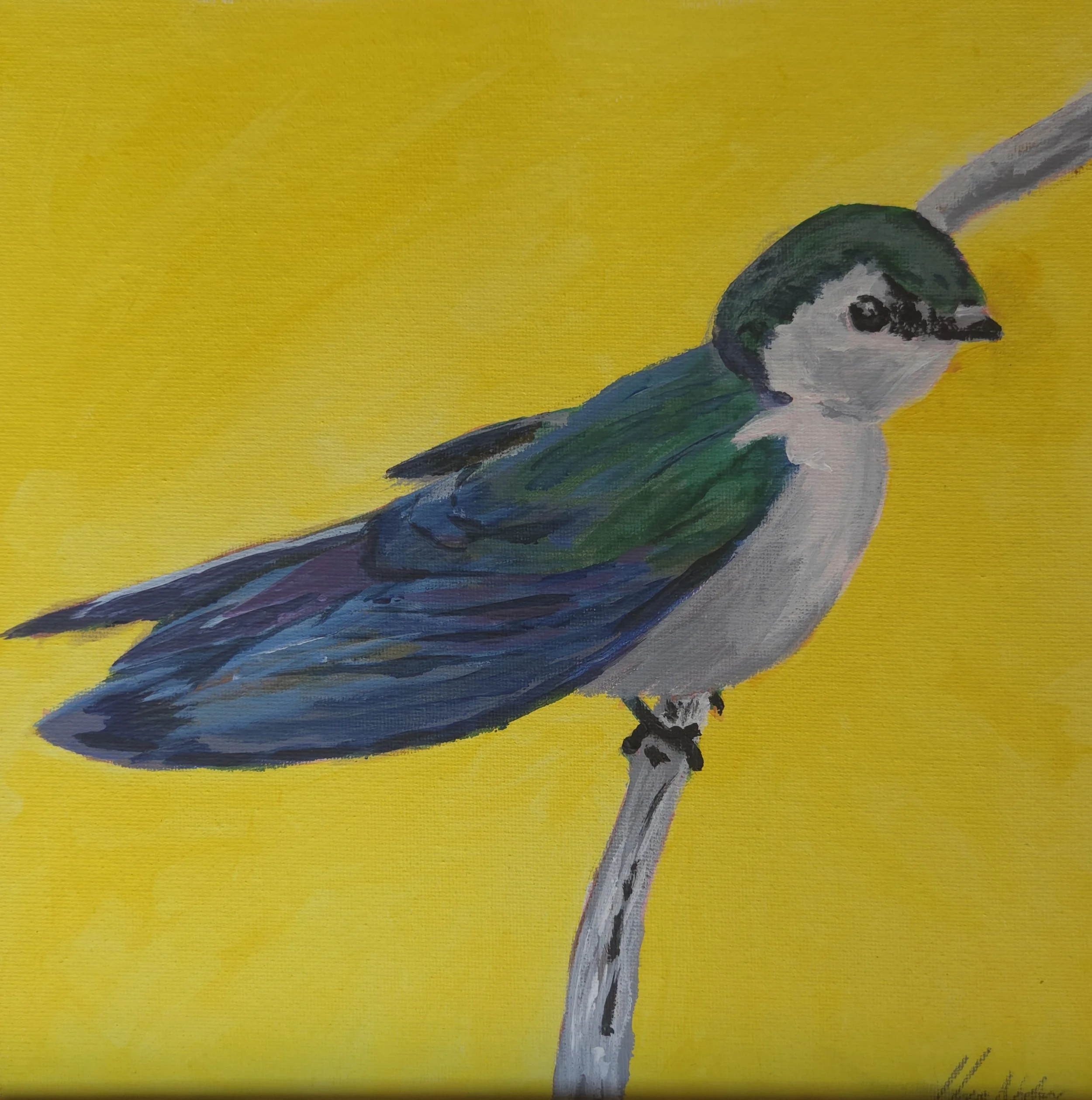 Bird on yellow - Print