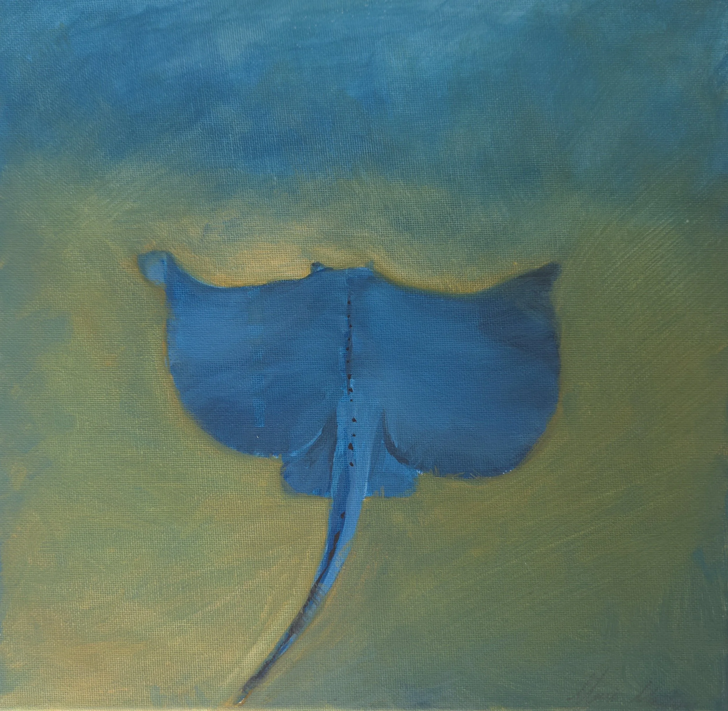 Blue Stingray - Print