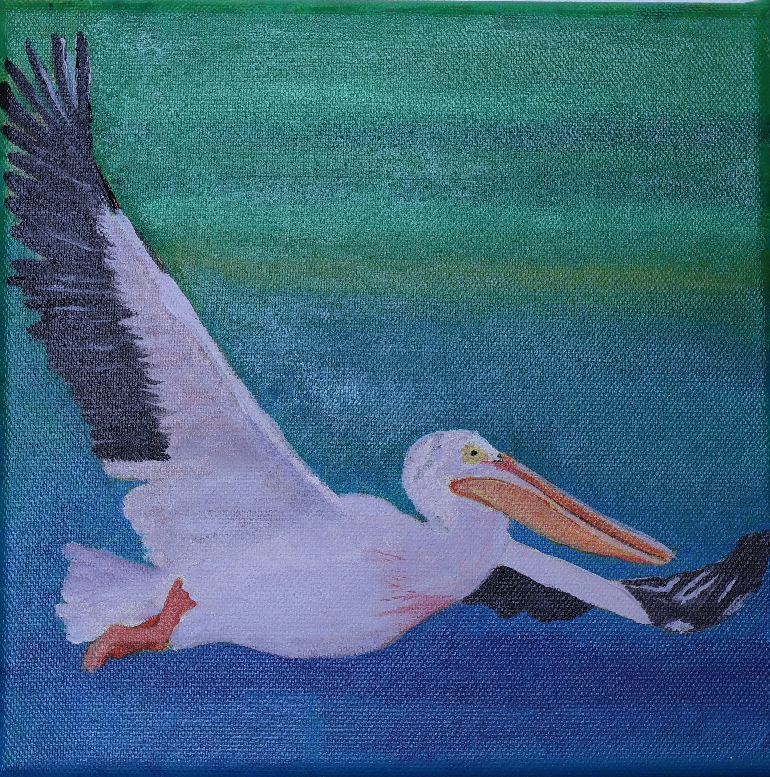 Pelican in Flight – Original Coastal Bird Acrylic Painting, 8 × 8 in