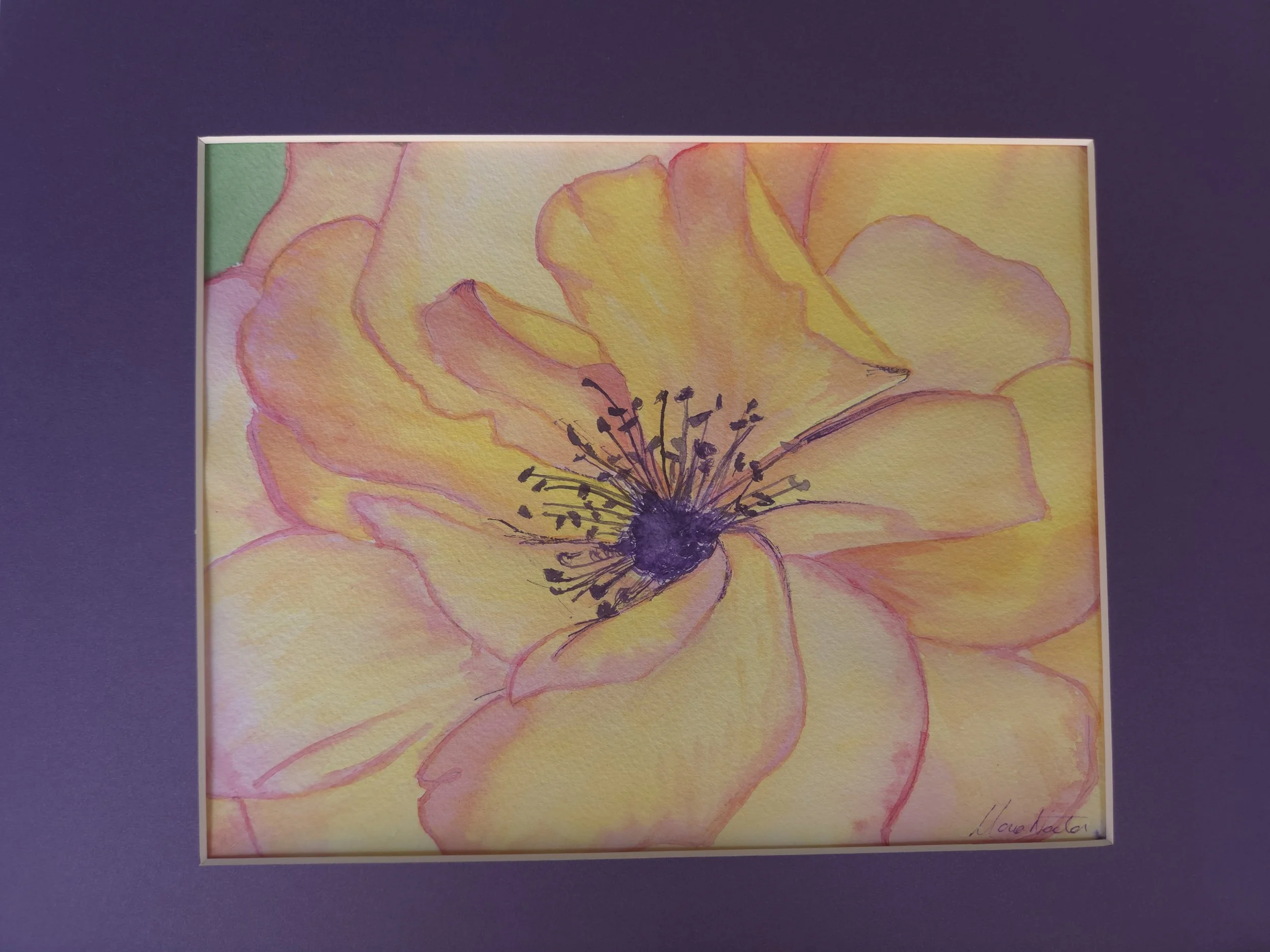 Watercolor - Flower.jpg