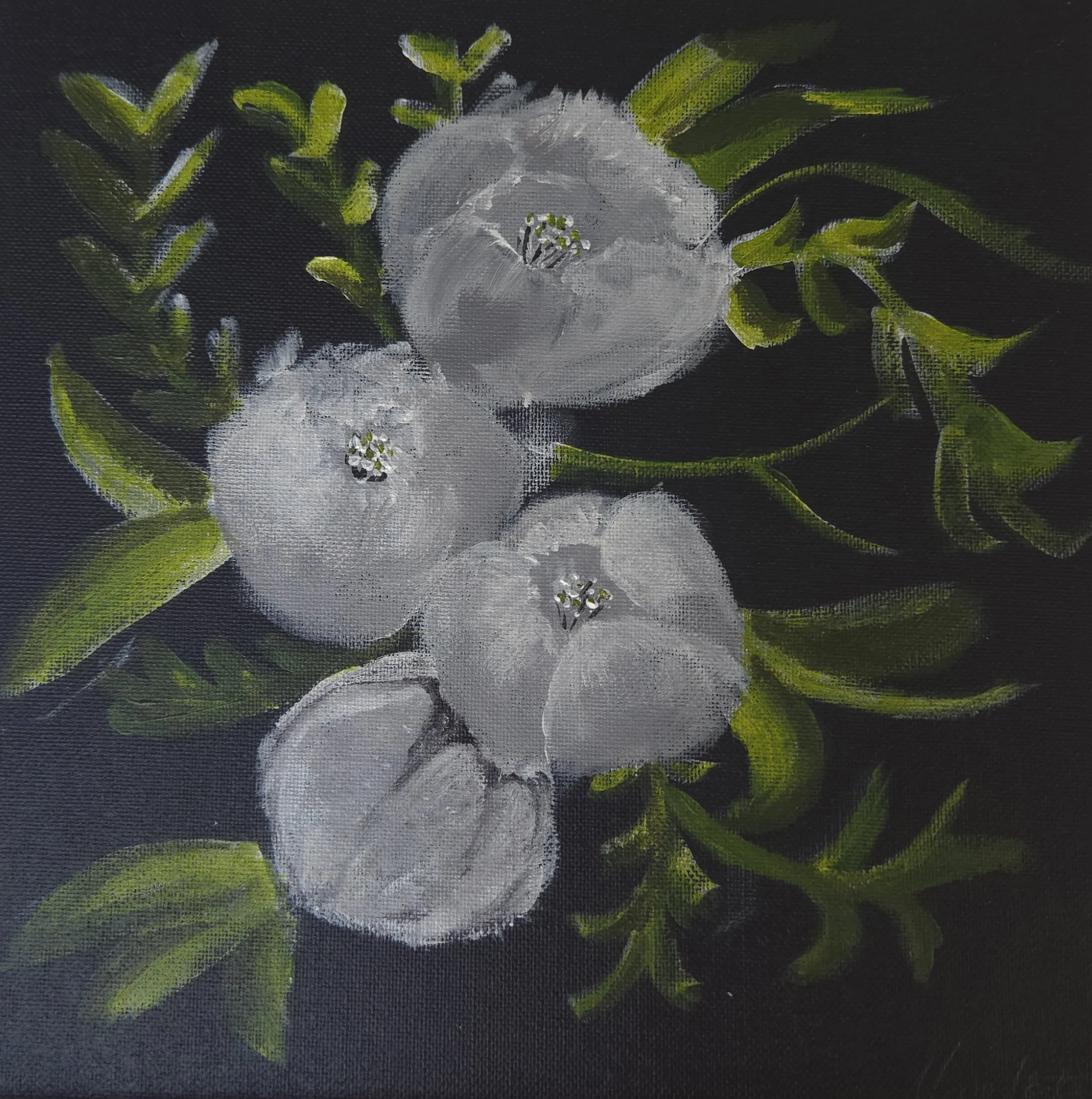 Midnight Blossoms - Print