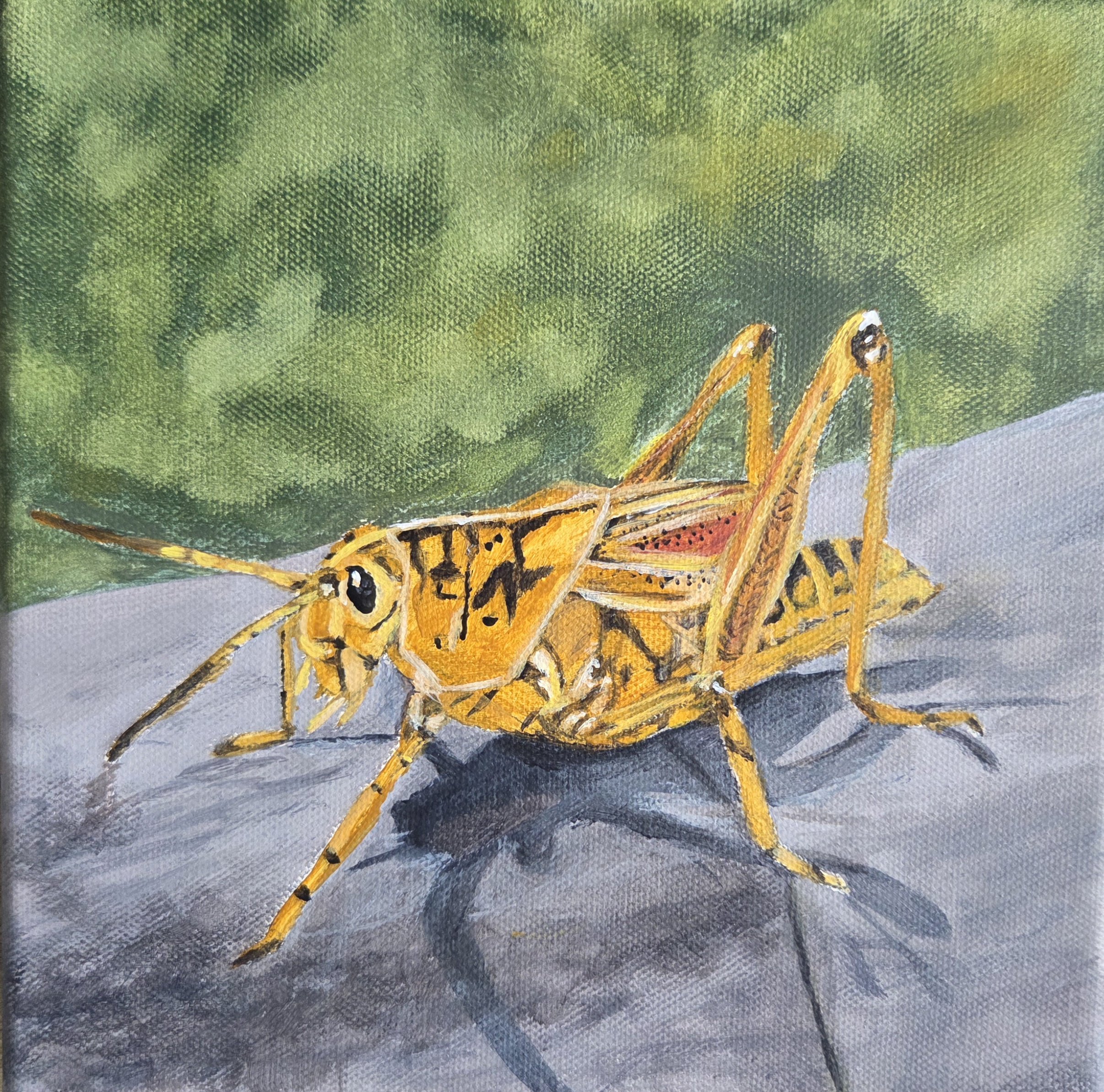 Grasshopper – Original Insect Wildlife Acrylic Painting, 8 × 8 in