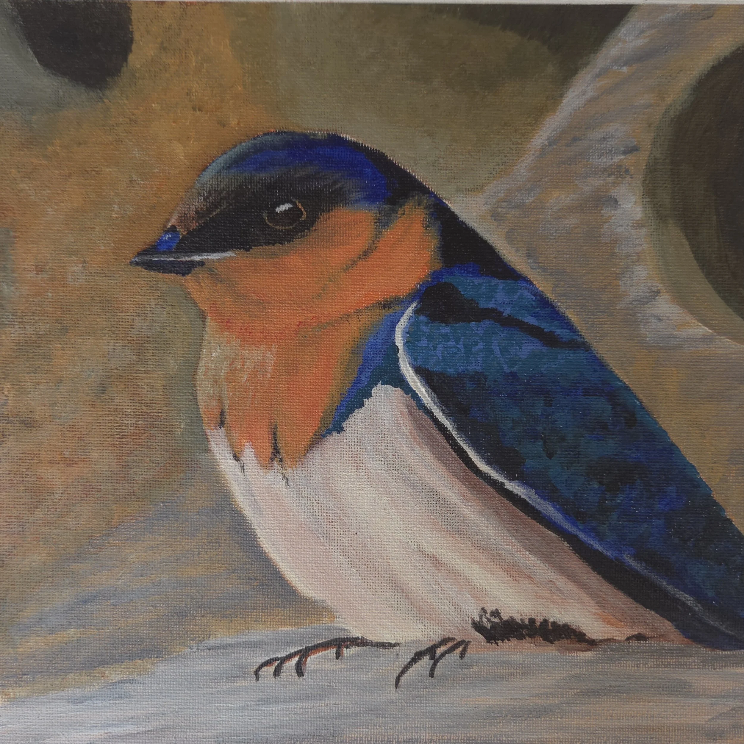 Resting Wings - Barn Swallow -Original Acrylic on canvas - 10x10