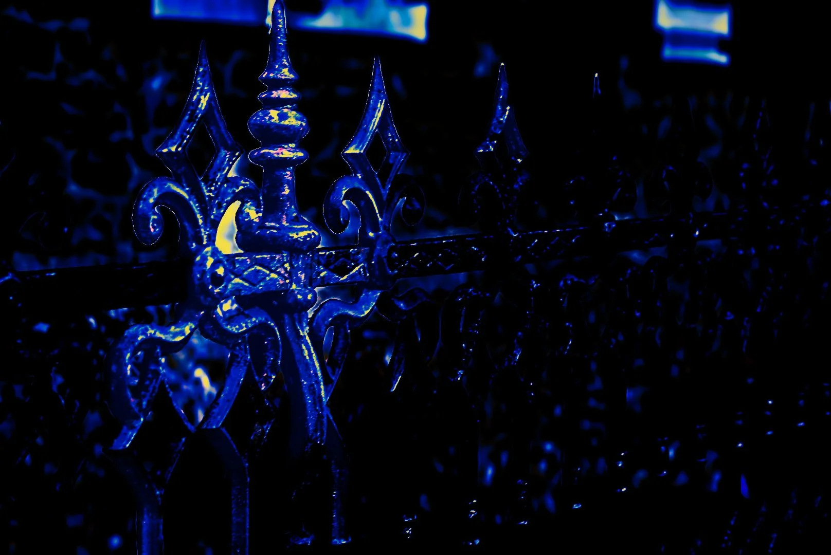 Where Darkness Blooms