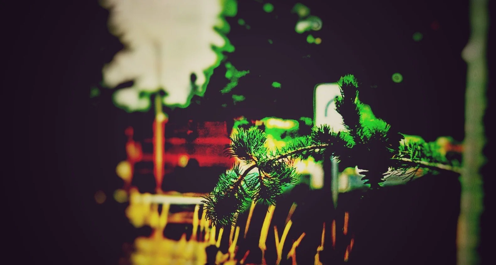 TALK TO THE PLANTS