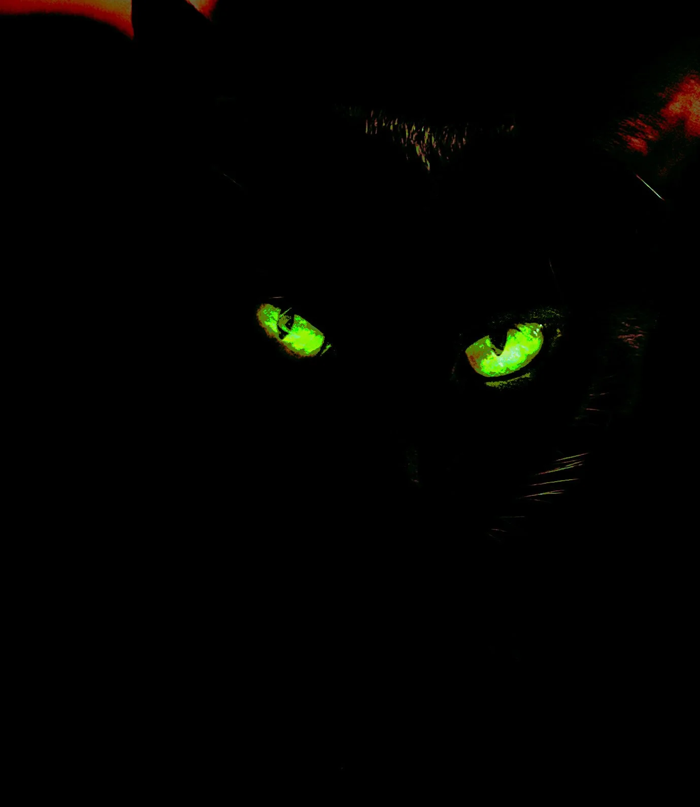 Green Eyed Gargoyle