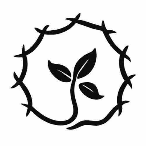 A plant with three leaves inside a circular thorny border.