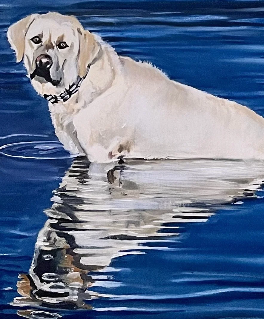 A yellow Labrador Retriever dog sitting in a body of water with its reflection visible on the surface.