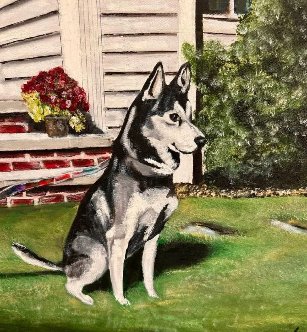 Painting of a Siberian Husky dog sitting outdoors on green grass, with a house's exterior wall, window with flower box, and a bush in the background.