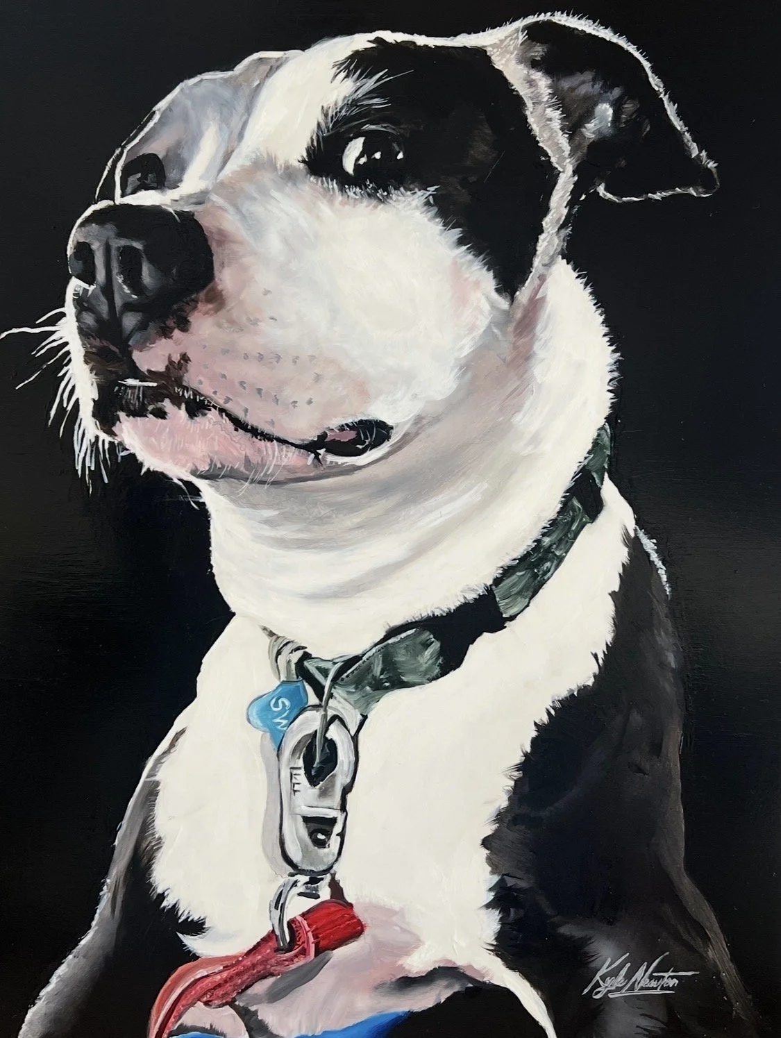 Painting of a black and white dog with a collar, looking to the side against a black background.
