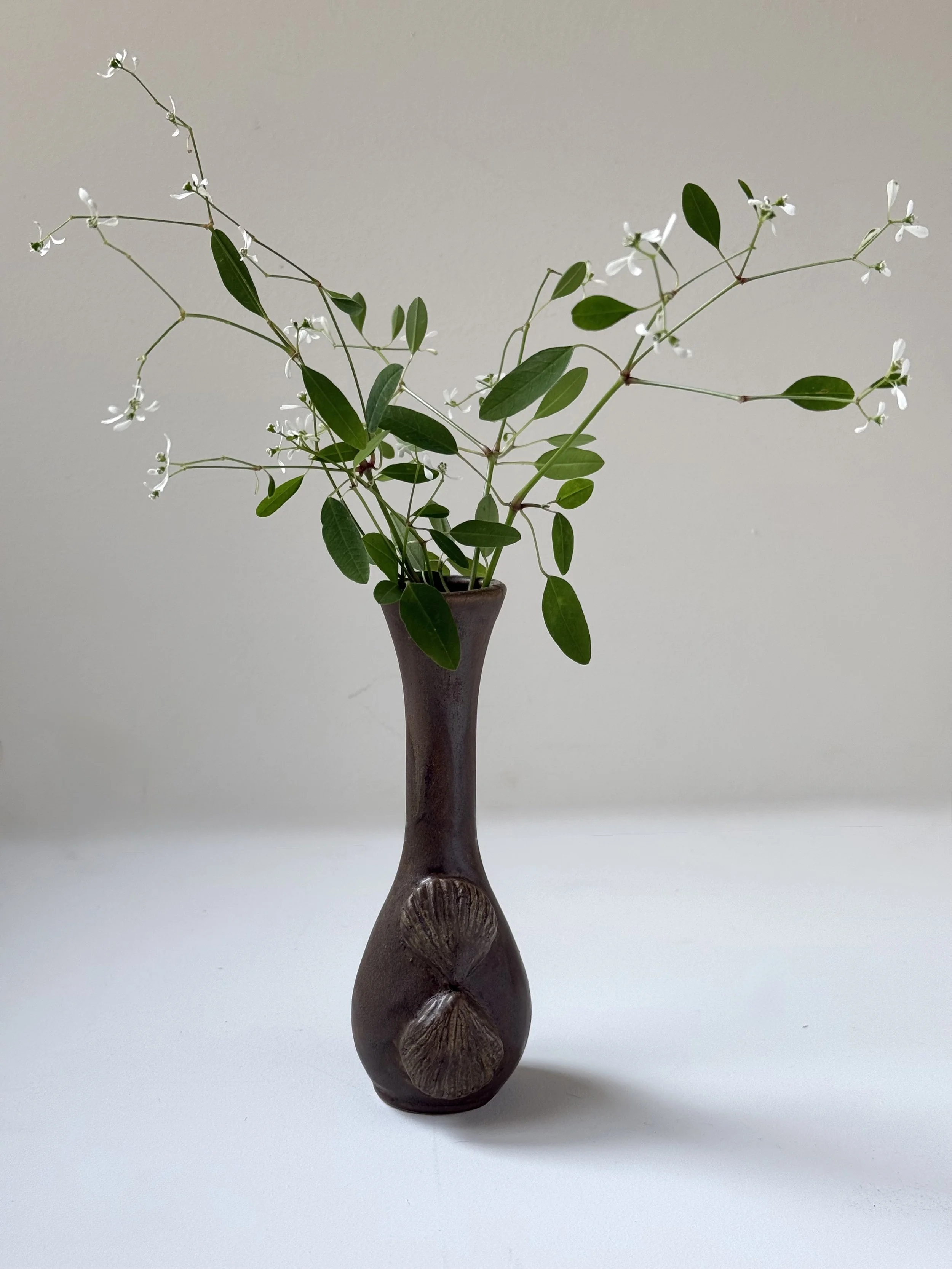 Shell Vase No. 7