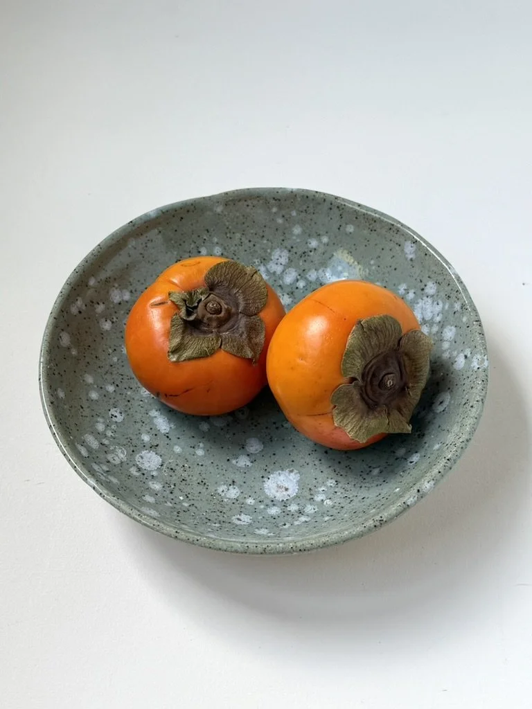 Tidepool Dish