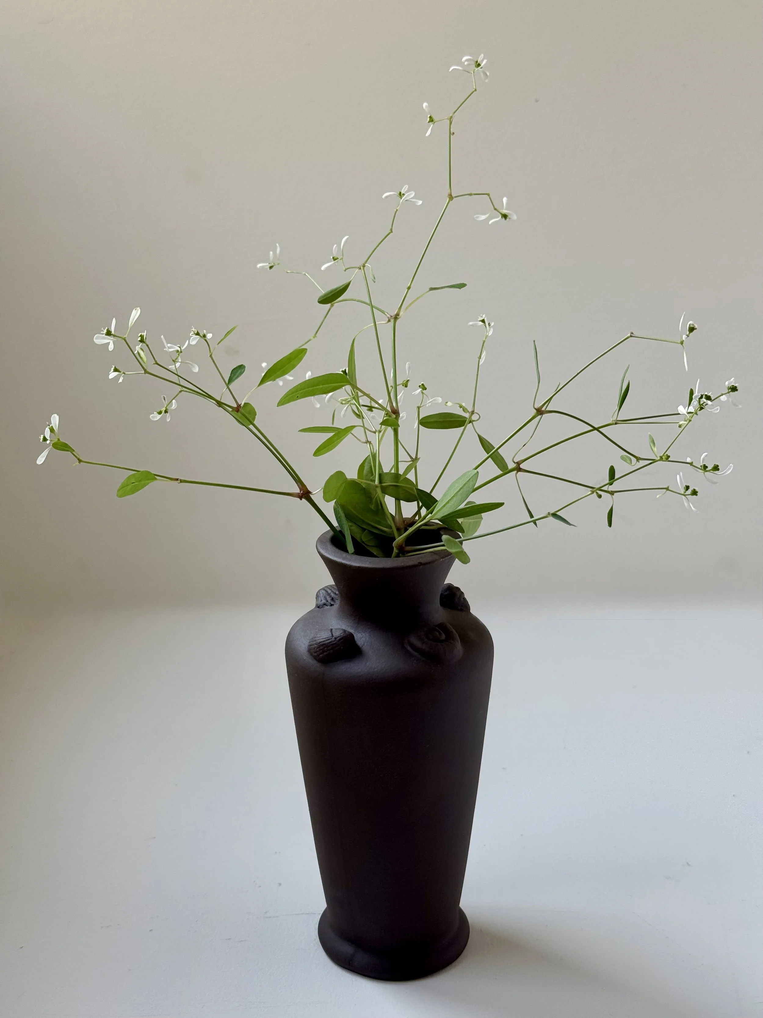 Earthen Shell Bud Vase