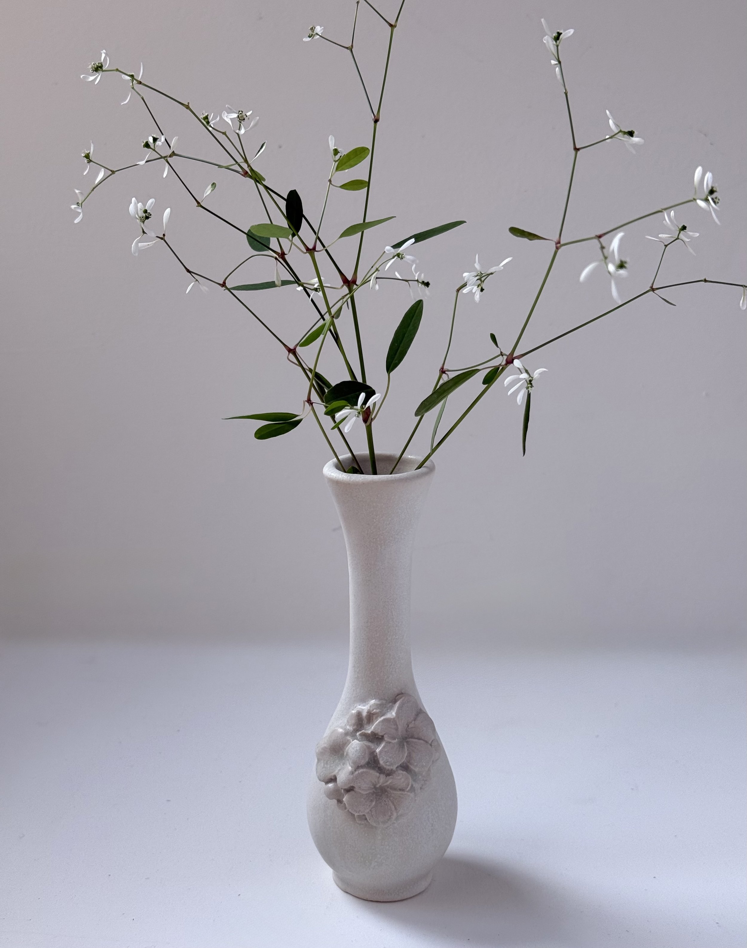 Botanical Bud Vase