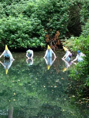 pond.1.jpg