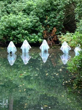pond.4.jpg