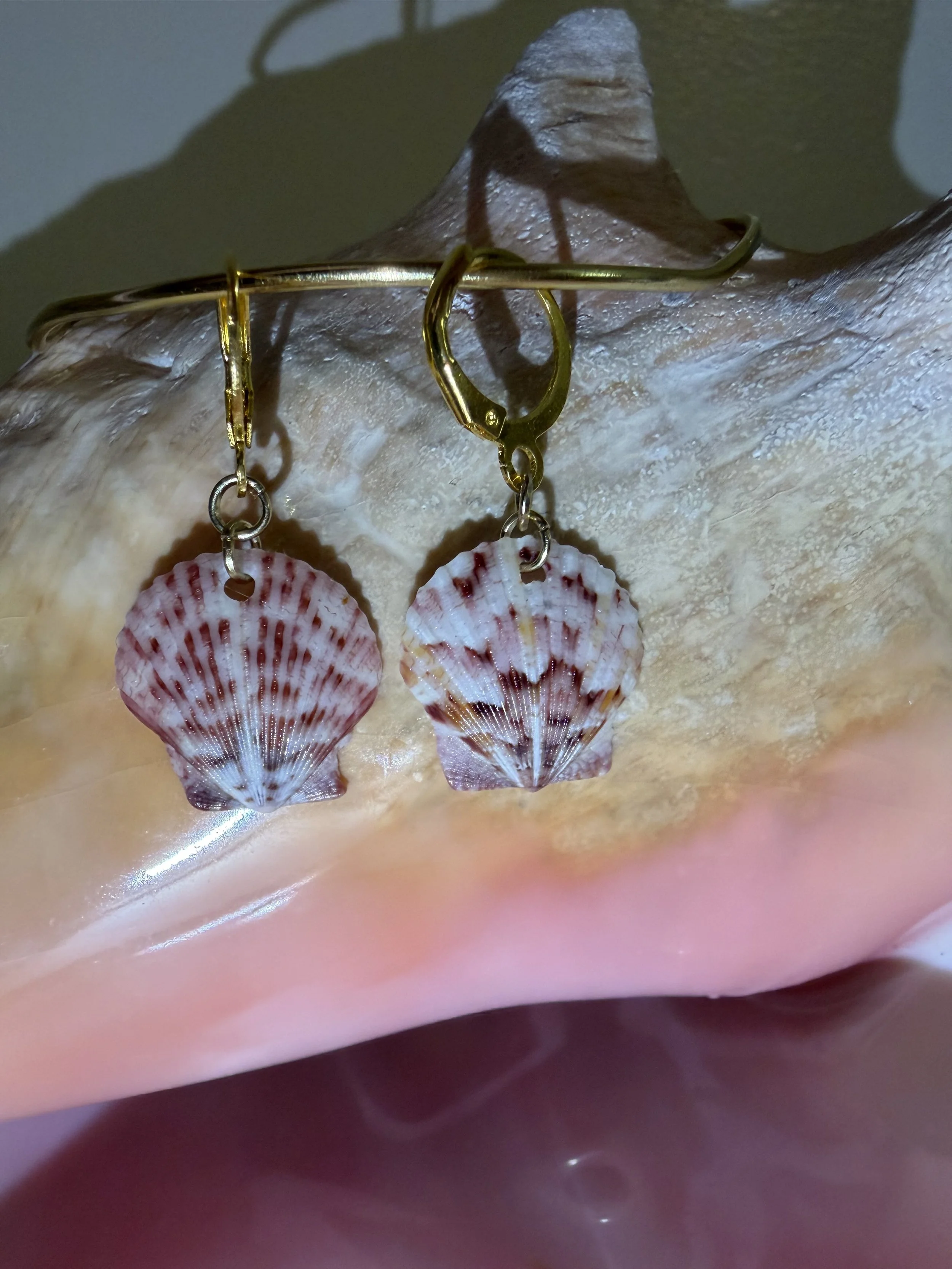Scallop earrings