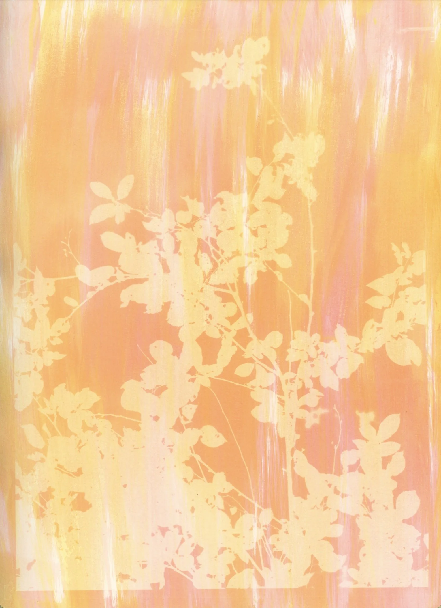 sunrise hazy spring.jpg