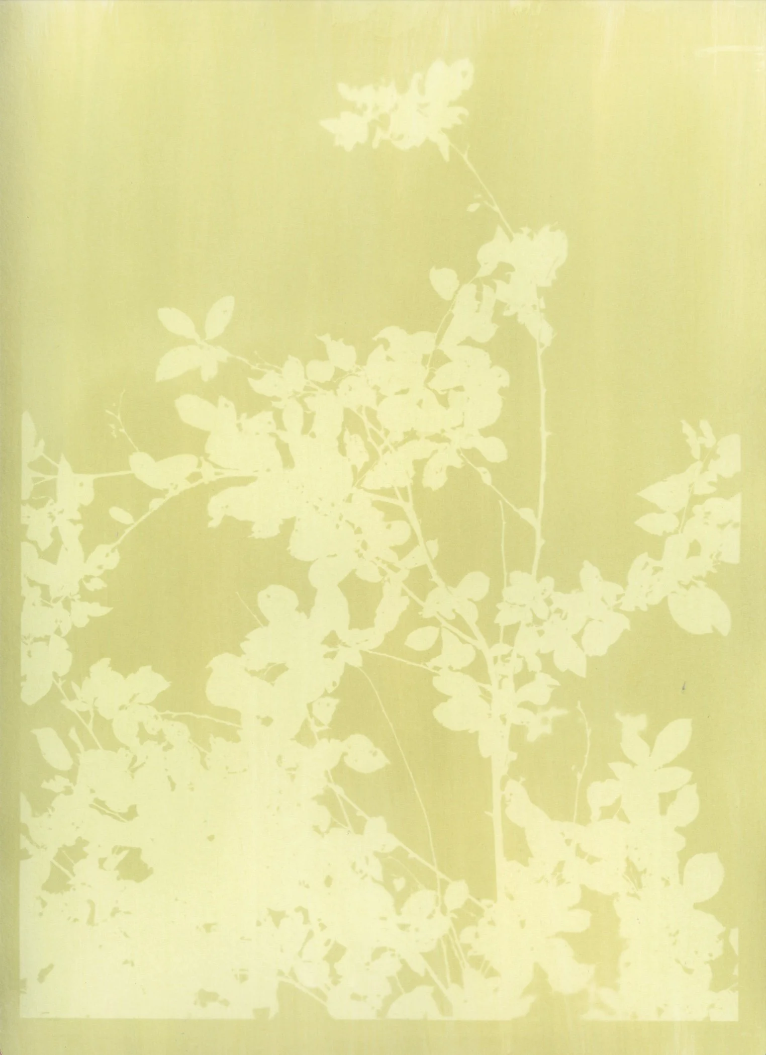 green hazy spring SG.jpg