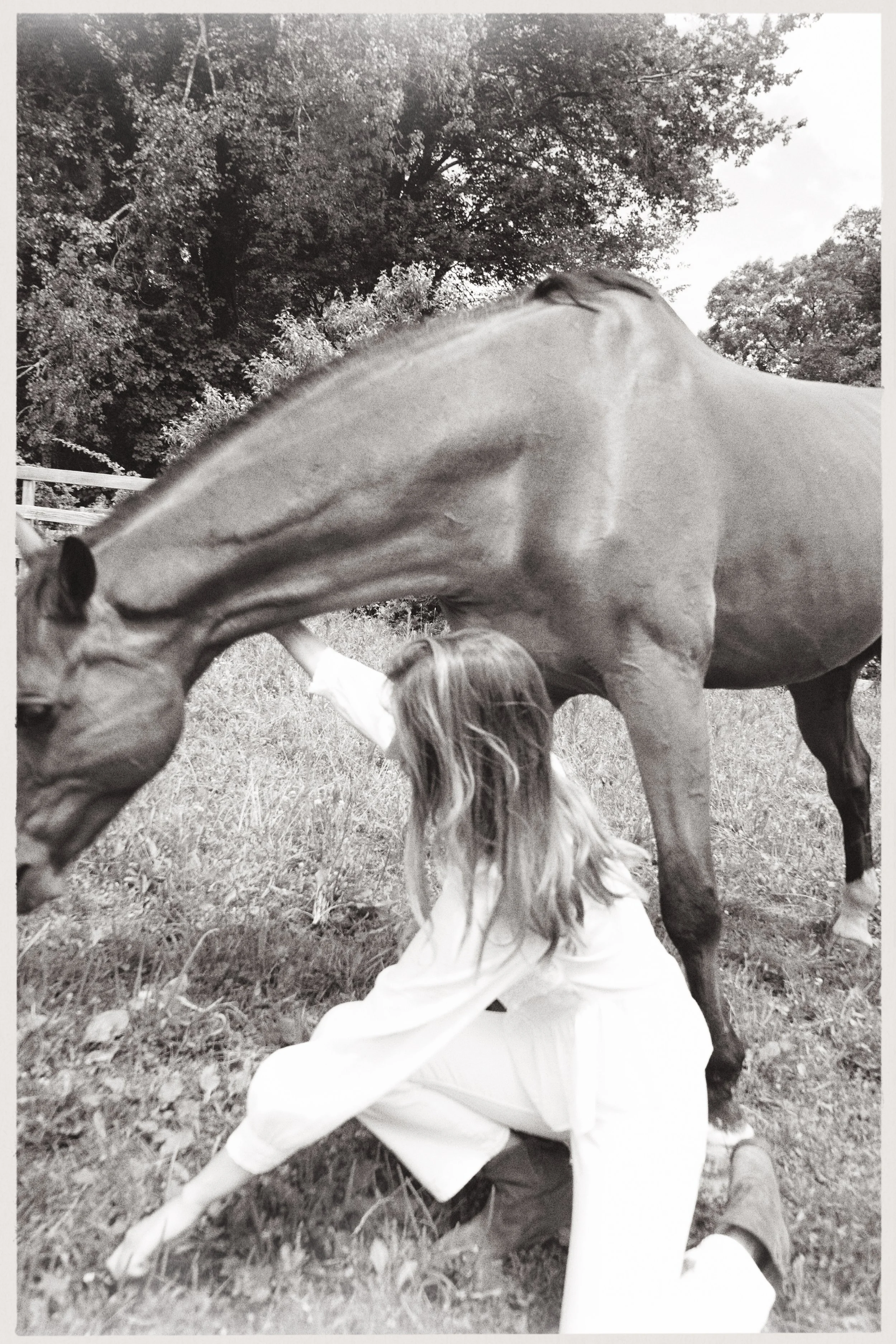 A person with long hair, wearing a white dress, sitting on the grass, and hugging a large horse.