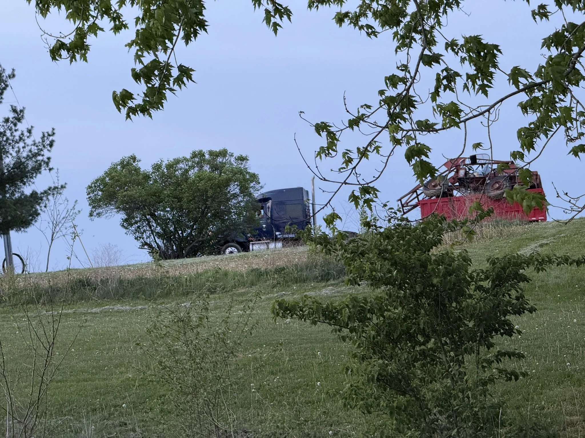 View of trees with green leaves against a blue sky, at least one vehicle and a red crane or construction equipment on a grassy area.