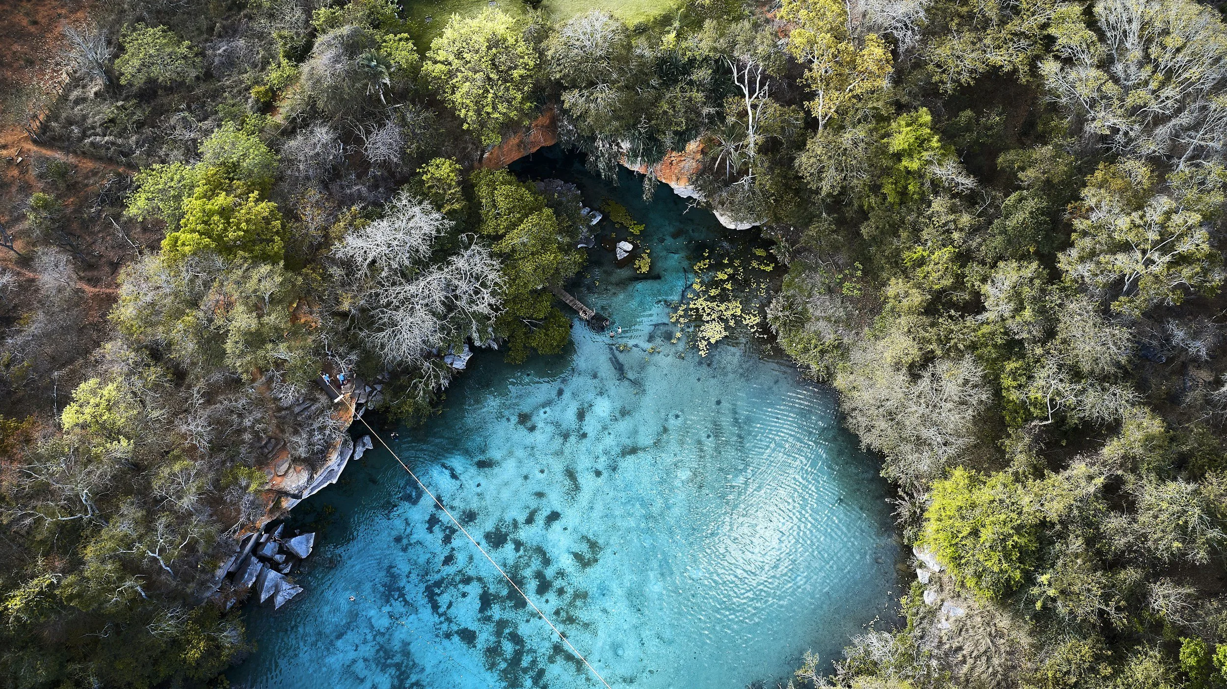 Aerial view of a lush green landscape in Bahia with a winding river and scattered white clouds in the sky.