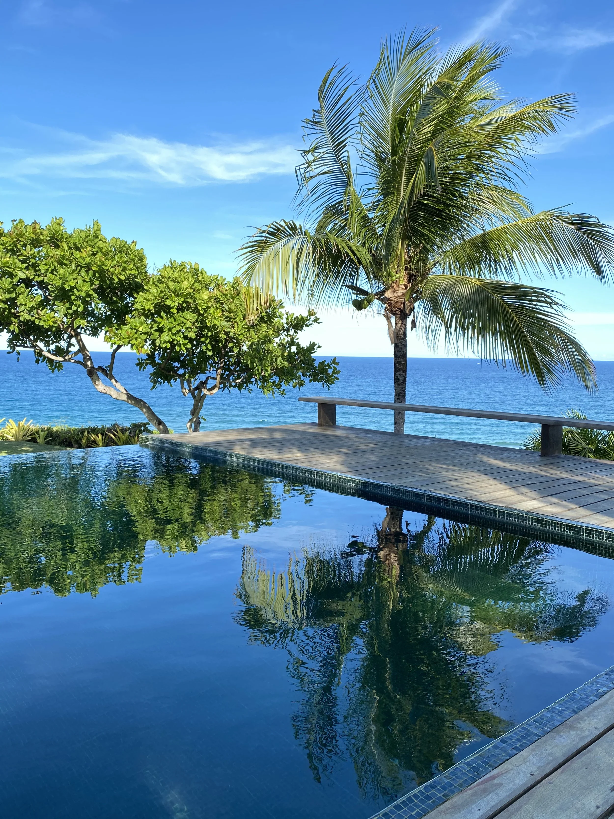 A pristine swimming pool that reflects the image of a large coconut tree near it like a mirror. In the background the sea and sky as blue as the pool.
