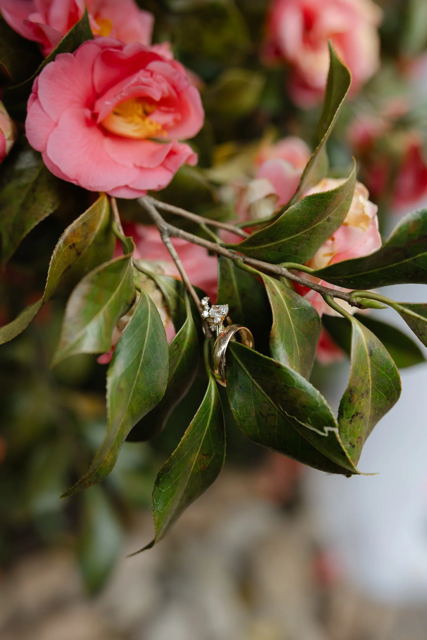 Bri + Ben Wedding-023.jpg