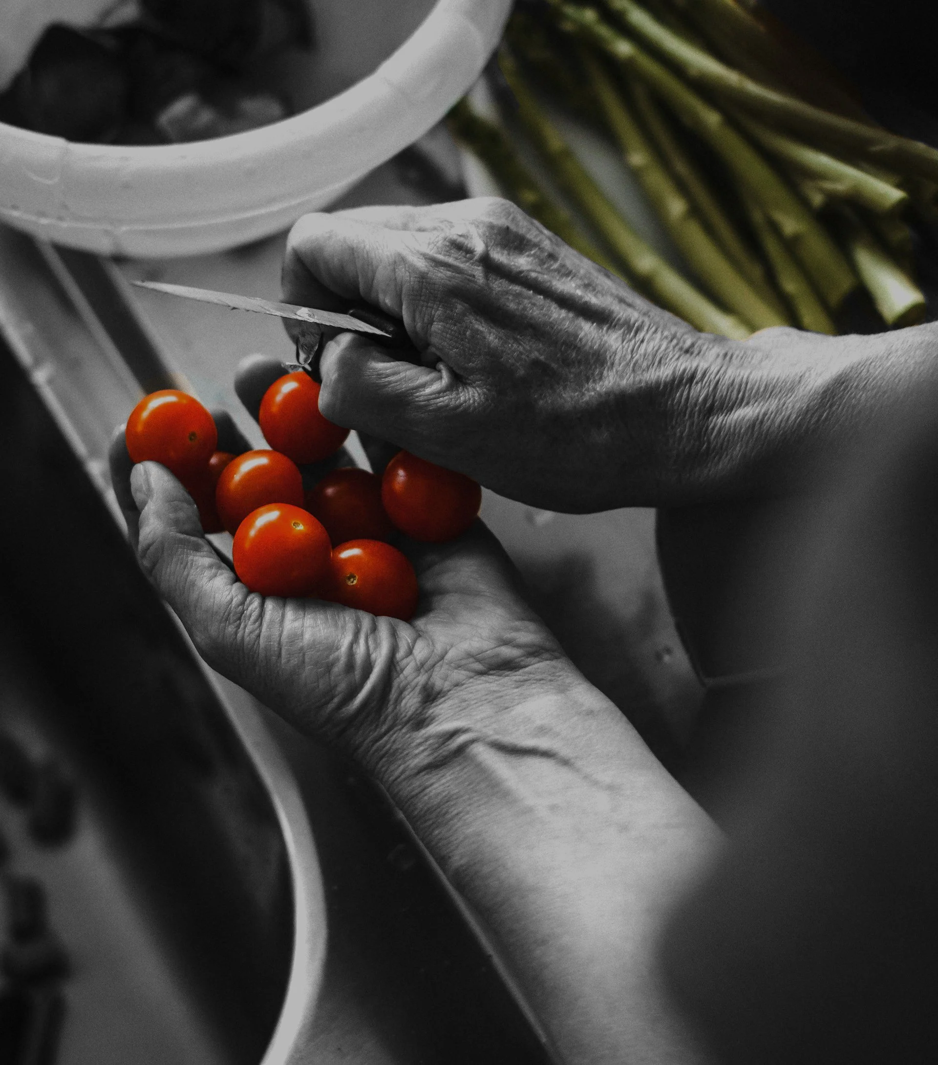 Close-up of a person’s hand holding a cherry tomato and cutting it with a small knife, with more tomatoes and vegetables in the background, partially in color, mostly black and white.
