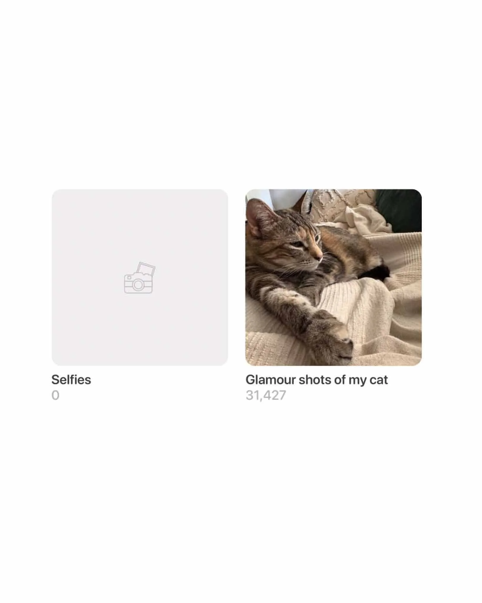 A screenshot of a photo gallery showing one photo of a tabby cat lying on a beige couch, with the caption 'Glamour shots of my cat' and a second placeholder image. The gallery includes section titles 'Selfies' and the description.