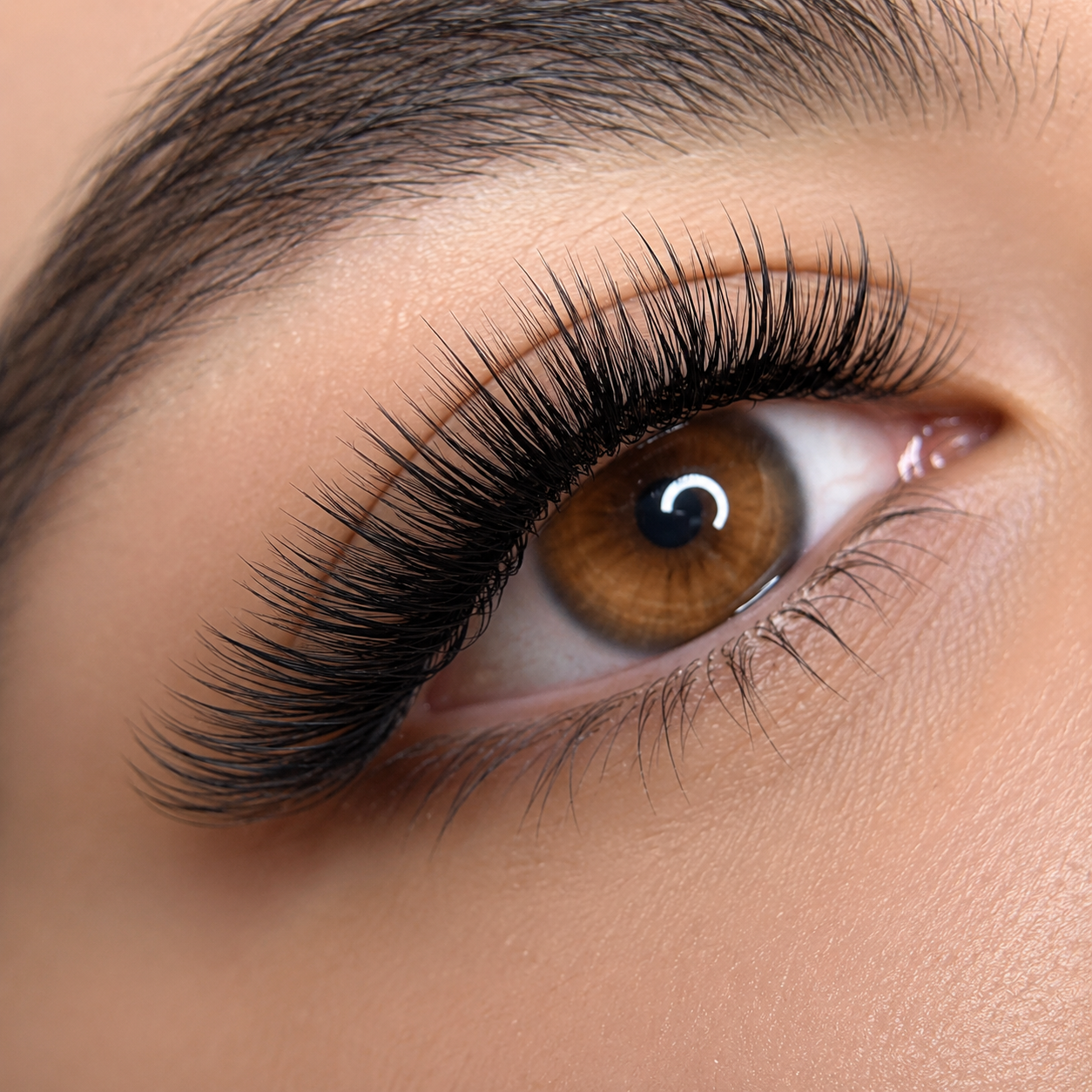 Close-up of a human eye with brown iris and long, thick eyelashes, with well-groomed eyebrows and smooth skin.