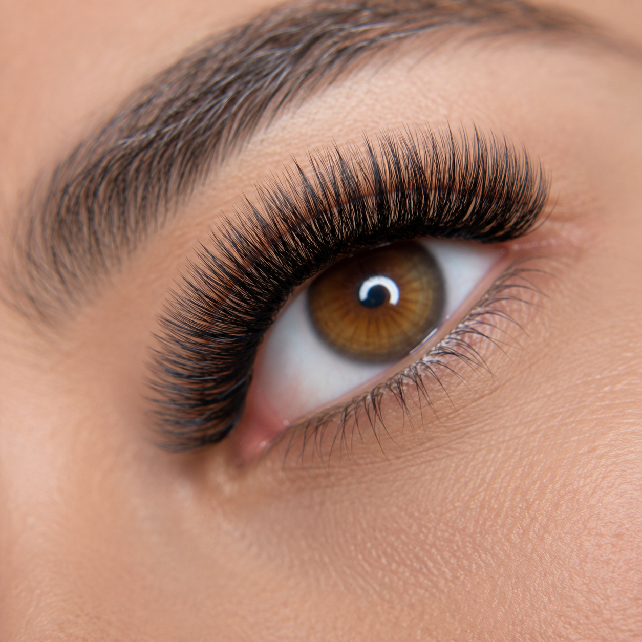 Close-up of a person's eye with long, thick, curled eyelashes and well-groomed eyebrow.