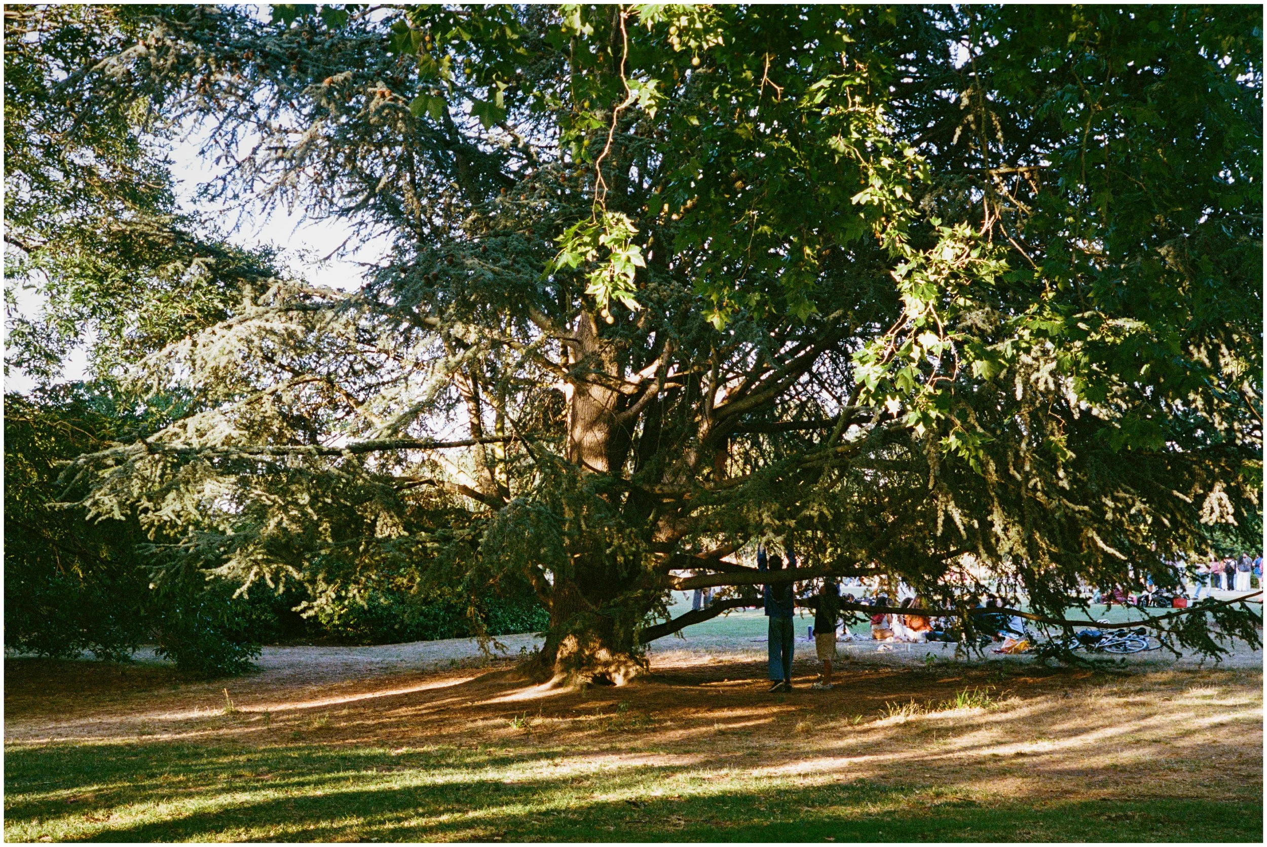 000216680013-Edit-border.jpg