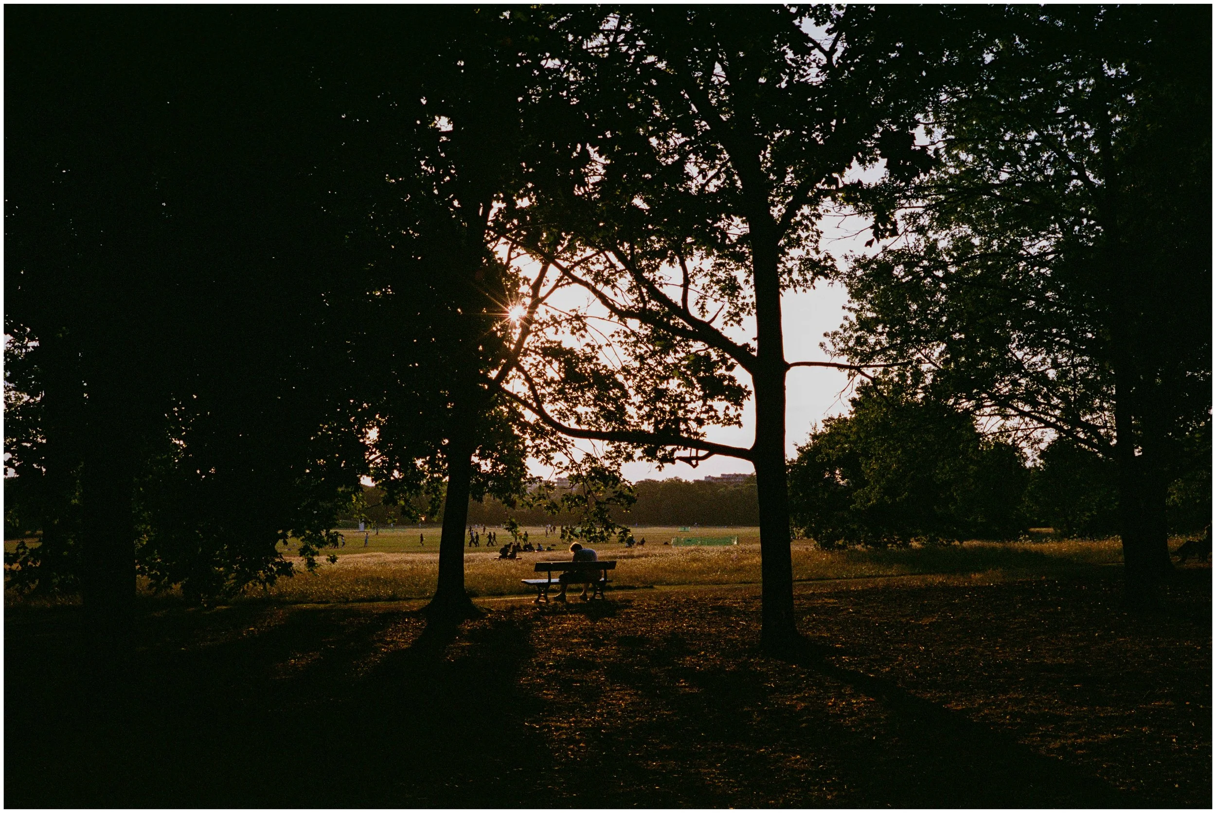 000216680016-Edit-border.jpg