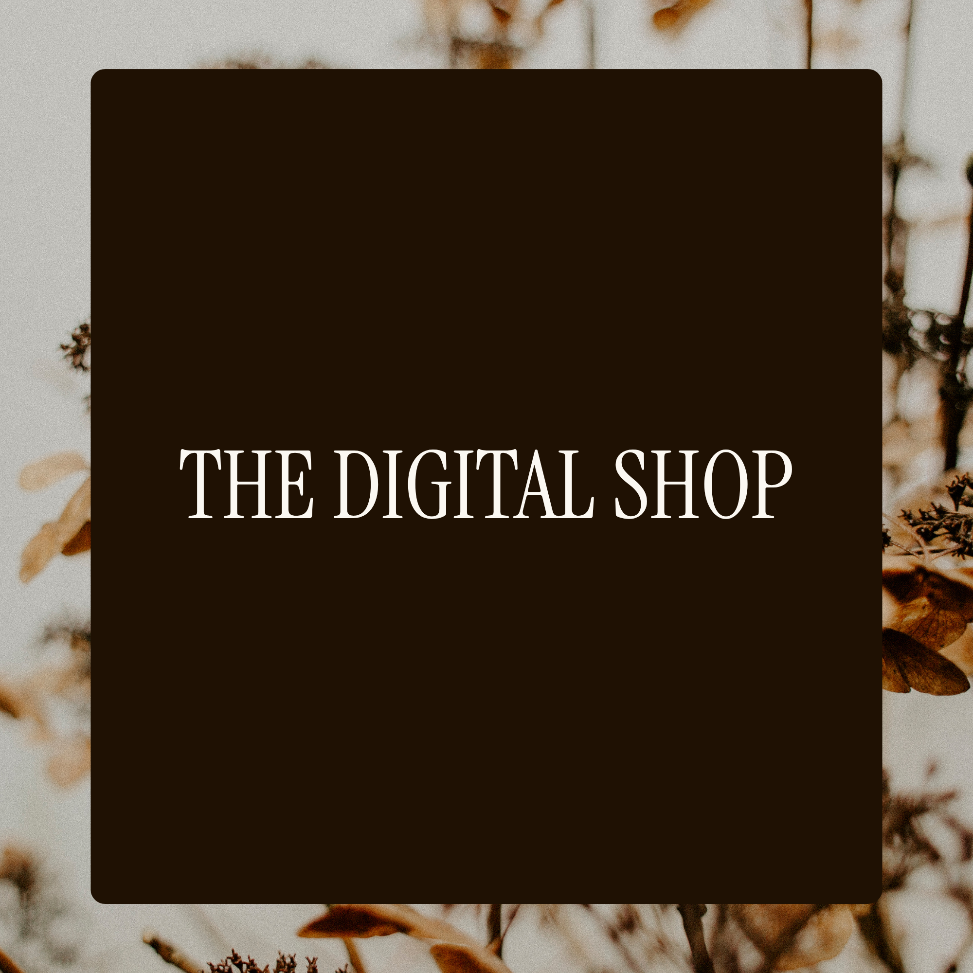 shop.png