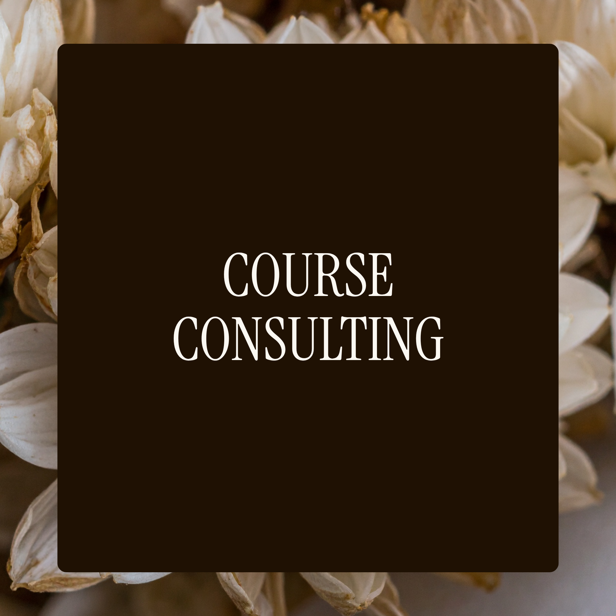consulting.png