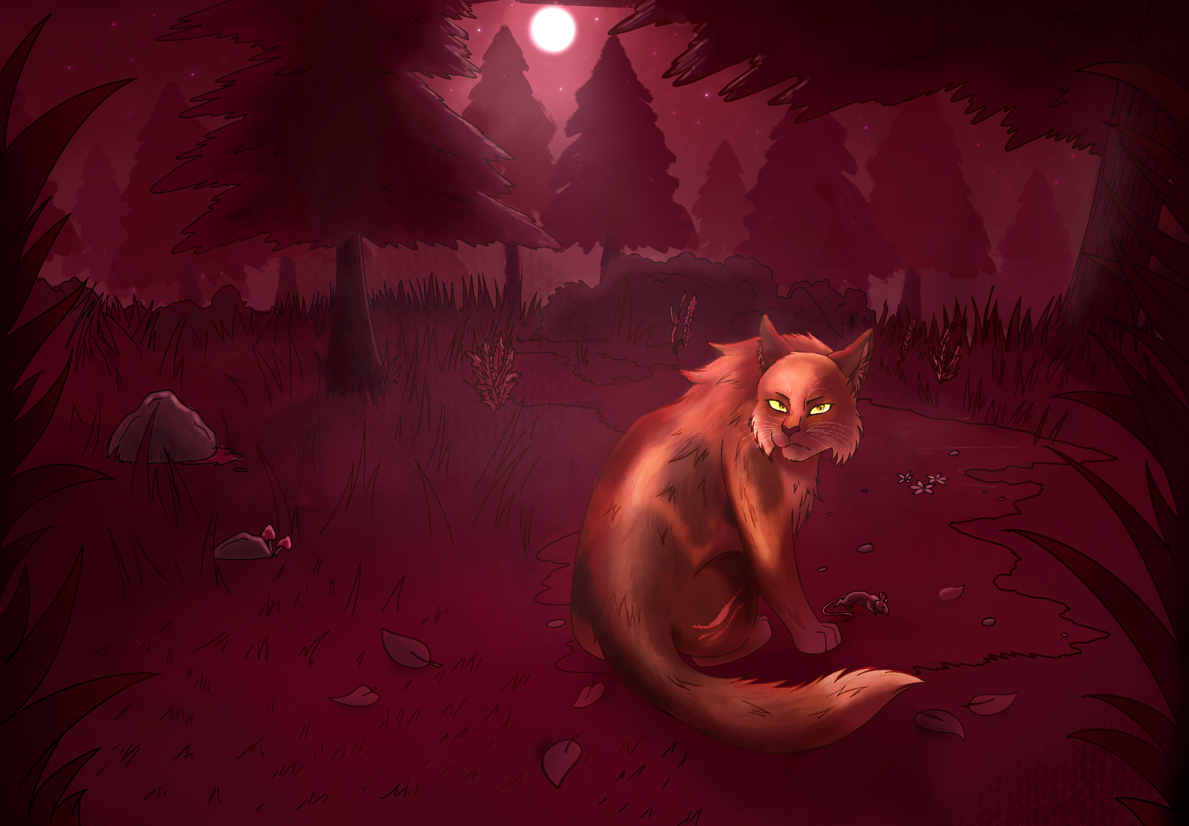 Solak_OrangeCat_WineForest_Digital.png