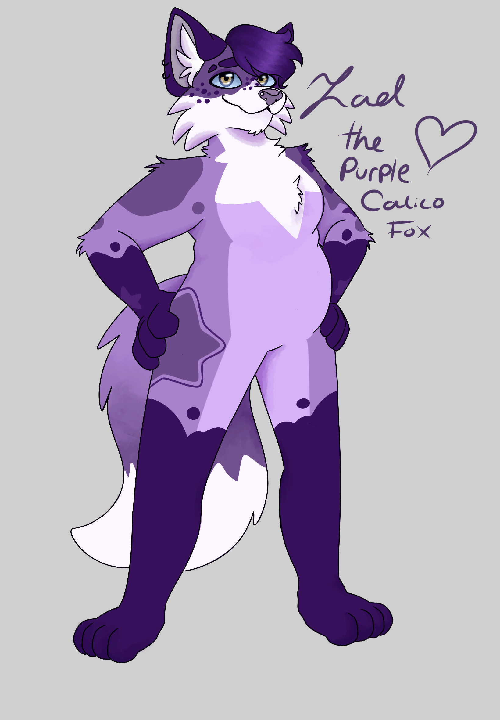 Solak_AnthroPurpleFox_Digital.gif
