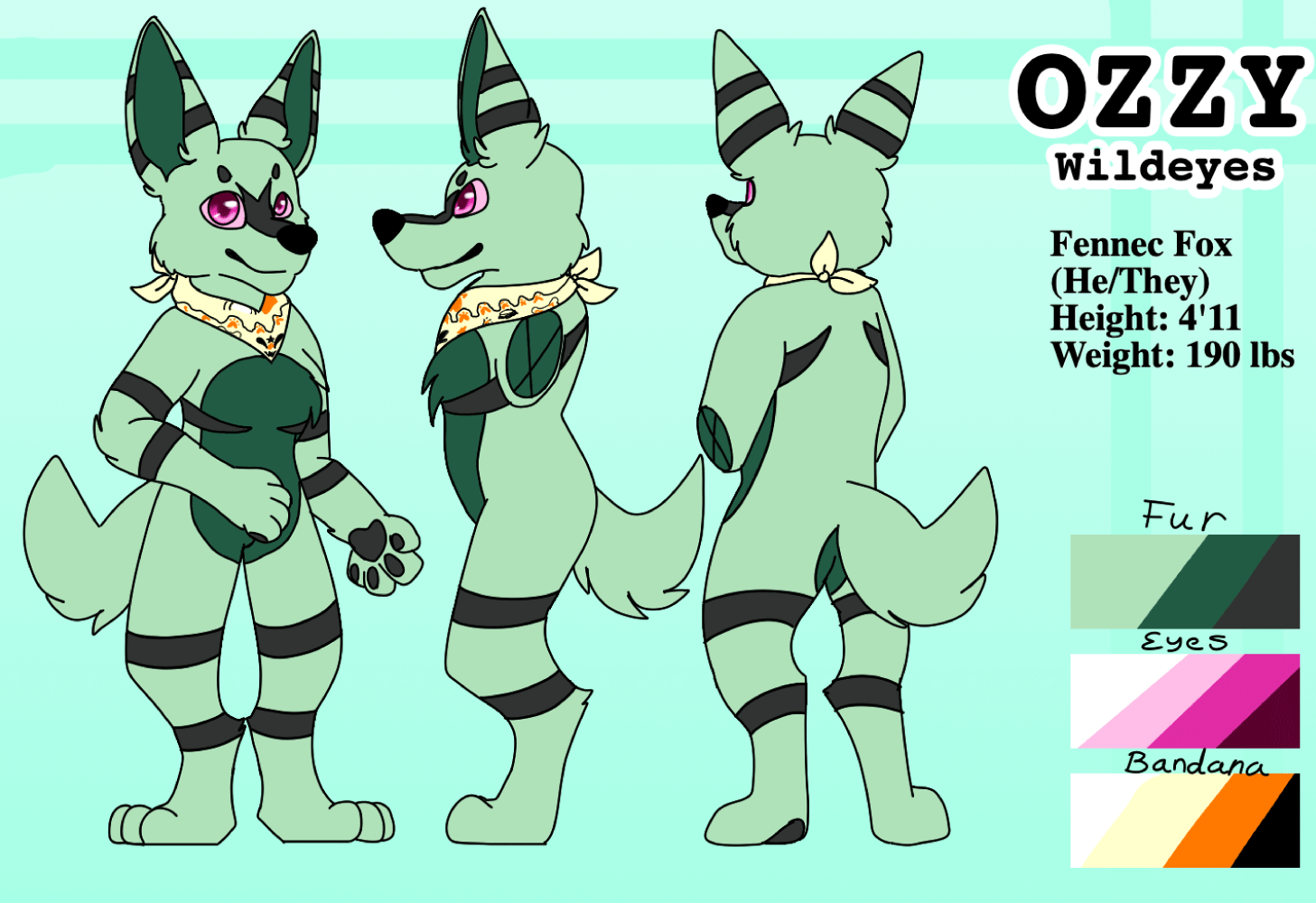 Solak_Fursona_Fennec_Turnaround_Digital.gif